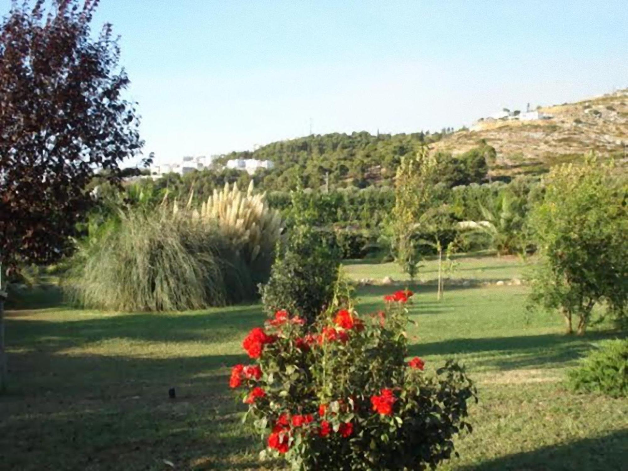 La Piana Di Calena Vila Peschici Exterior foto