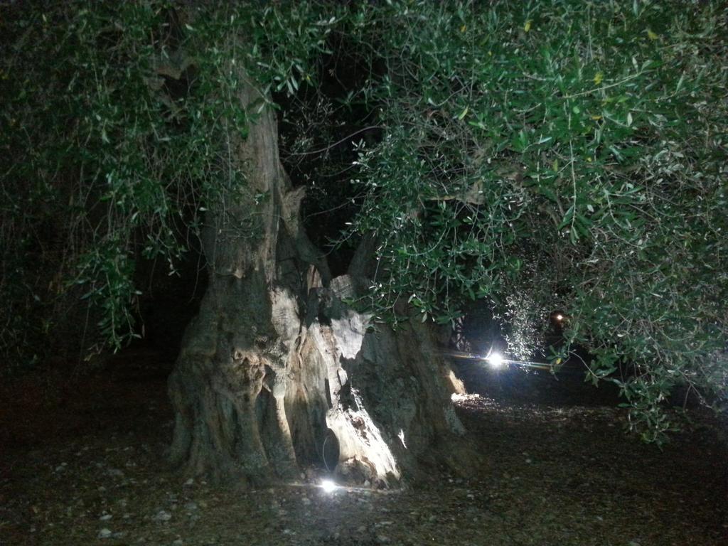 La Piana Di Calena Vila Peschici Exterior foto