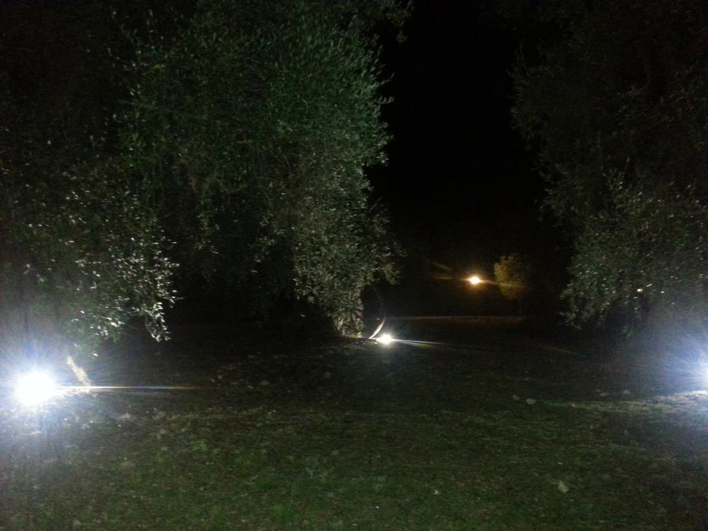 La Piana Di Calena Vila Peschici Exterior foto
