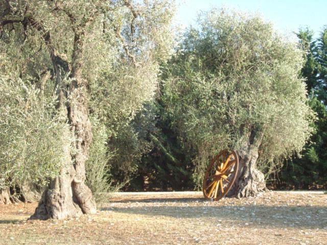 La Piana Di Calena Vila Peschici Quarto foto